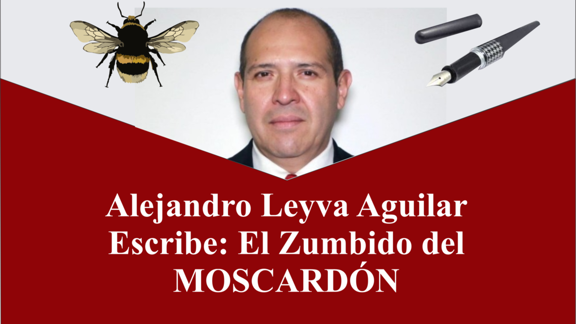 El Zumbido del Moscardón por: Alejandro Leyva