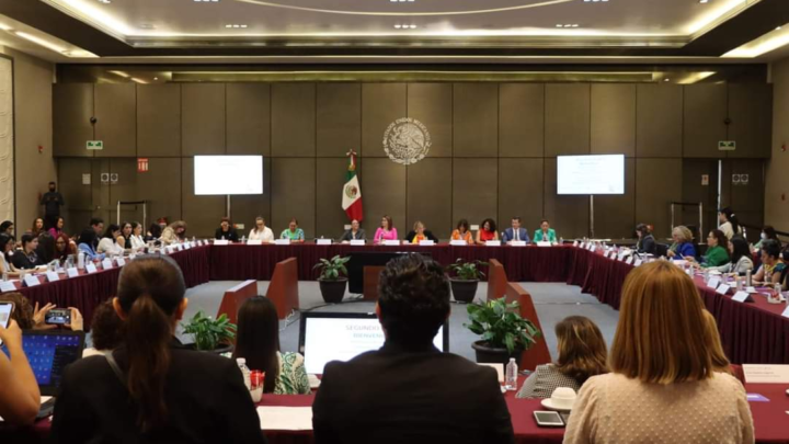 Oaxaca presente en Sesión del Sistema Nacional PASEVM