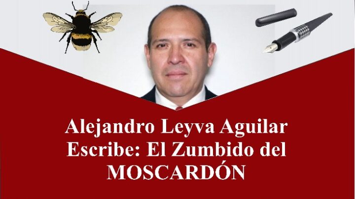 El zumbido del moscardon