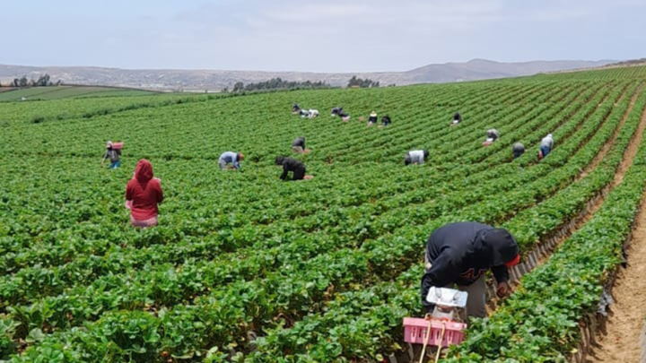 Prioriza Gobierno de Oaxaca acciones en favor de comunidad migrante de San Quintín