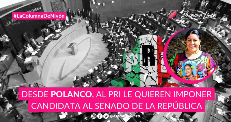 DESDE POLANCO, AL PRI QUIEREN IMPONER CANDIDATA AL SENADO DE LA REPÚBLICA -Primera Línea_