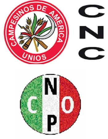 CNC Y CNOP EN EL SÓTANO