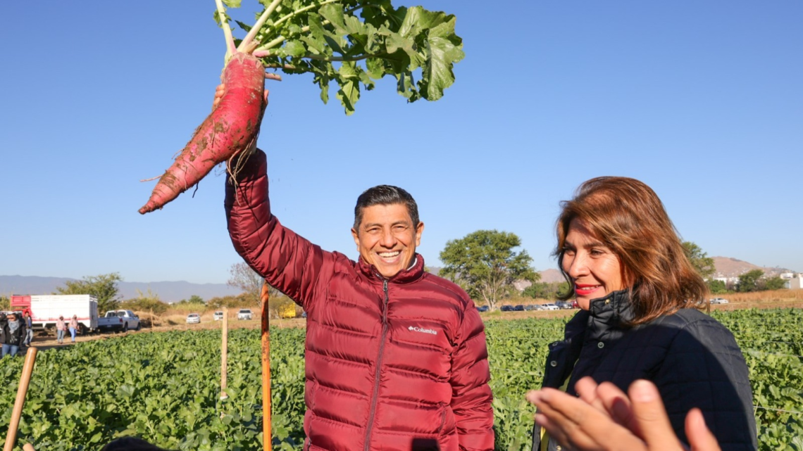 Inicia Jara Cruz cosecha de rábanos y siembra simbólica de Reforesta Oахаса 2024