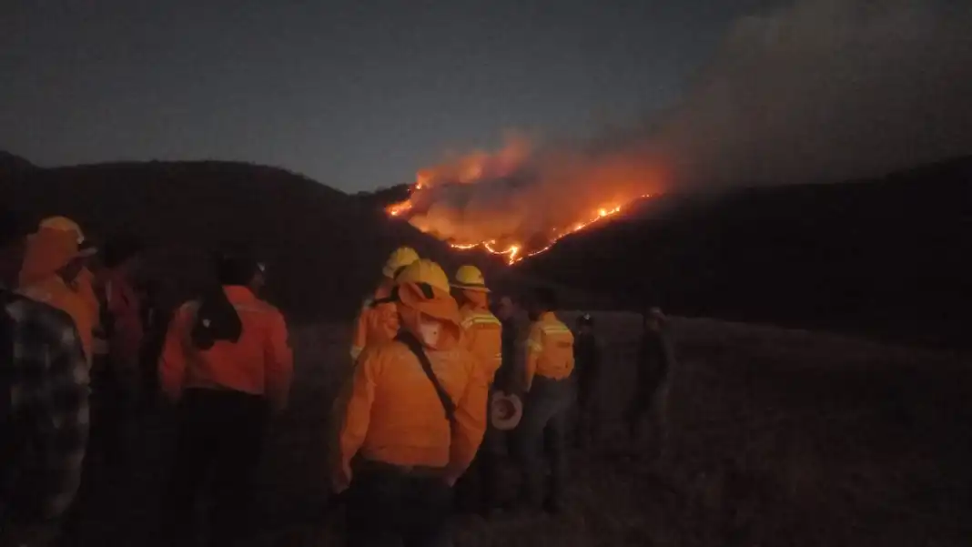 Incendios provocados para ampliar el cultivo de maguey y estupefacientes