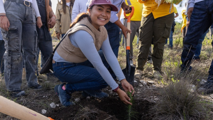 Todo un éxito el Mega Tequio de Reforestación Bienestar